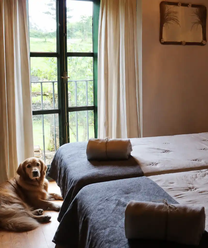 alojamiento pet friendly galicia